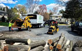 Best Commercial Tree Services  in Kingston, OK