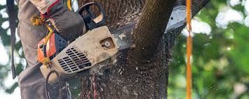Mulching Services in Kingston, OK