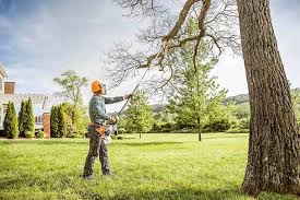 Best Lawn Pest Prevention  in Kingston, OK