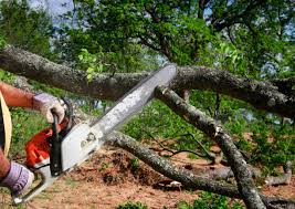 Best Organic Lawn Care Solutions  in Kingston, OK