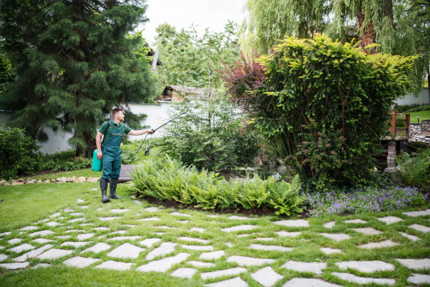 Best Tree and Shrub Care  in Kingston, OK